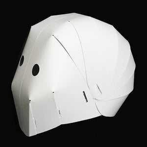 PLAIN MASK twin-pack.